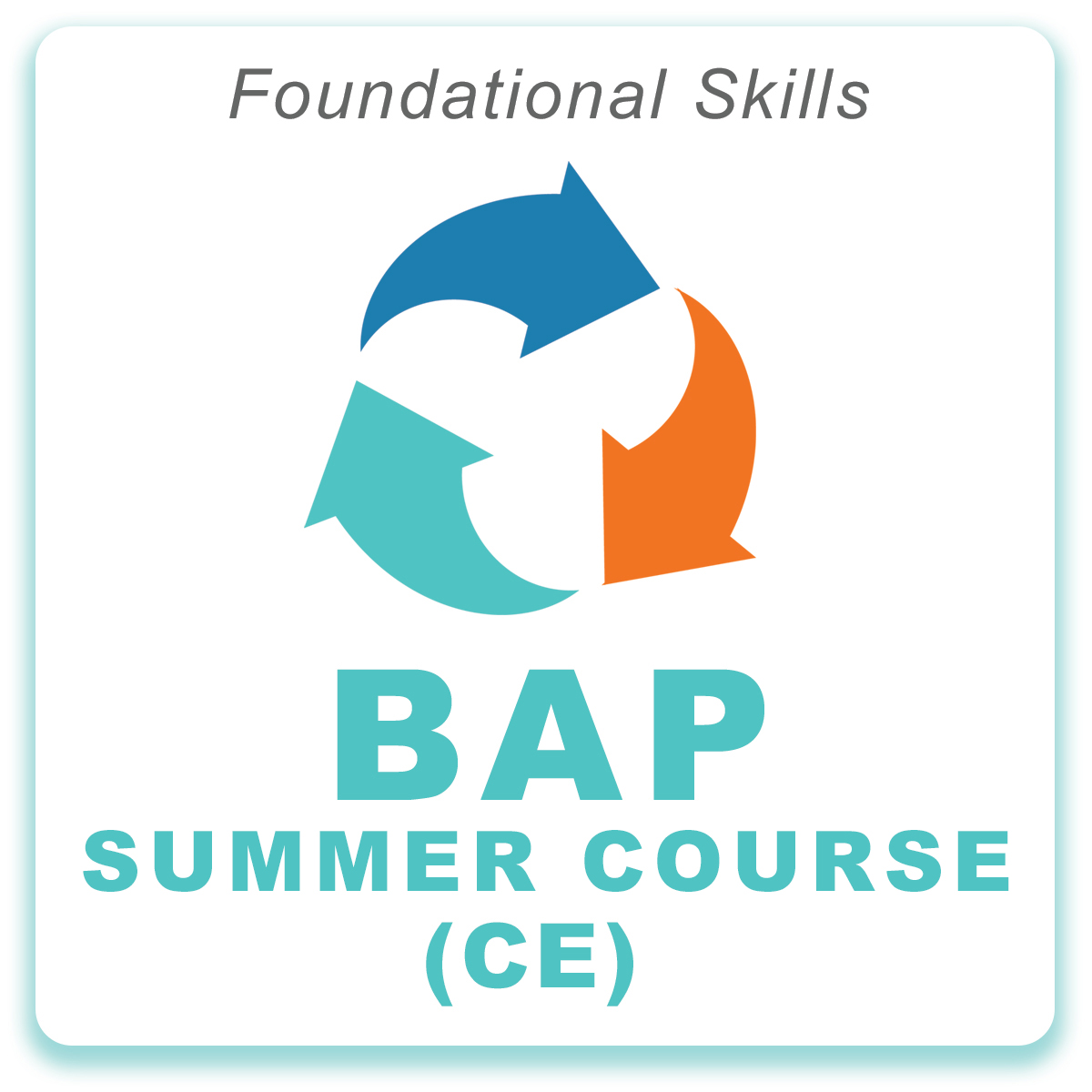 <strong>BAP SUMMER COURSE: Core Competencies Integrated Online & ZOOM-Enhanced Learning (CE)</strong>